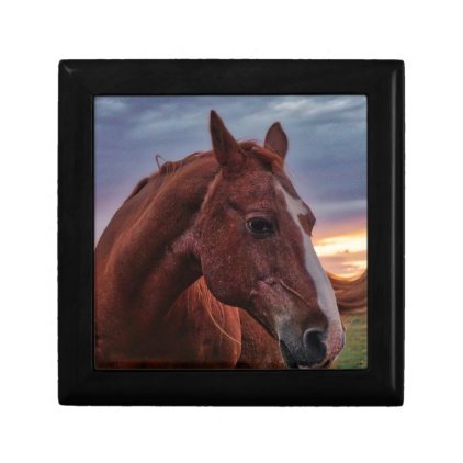 Horse Portrait Keepsake Box