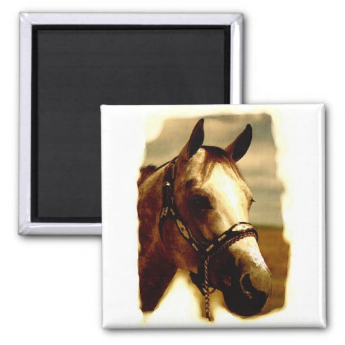 Horse Portrait Magnet