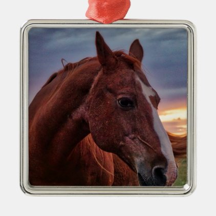 Horse Portrait Metal Ornament