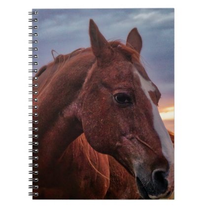 Horse Portrait Notebook