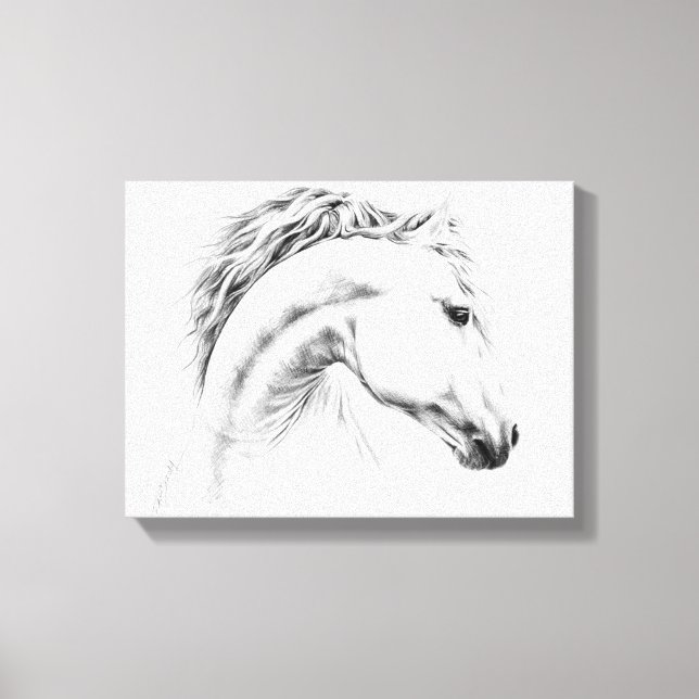 Horse portrait pencil drawing Equestrian art Canvas Print (Front)