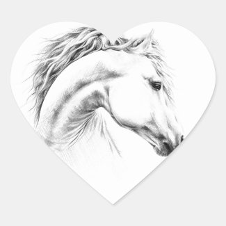 Horse portrait pencil drawing Equestrian art