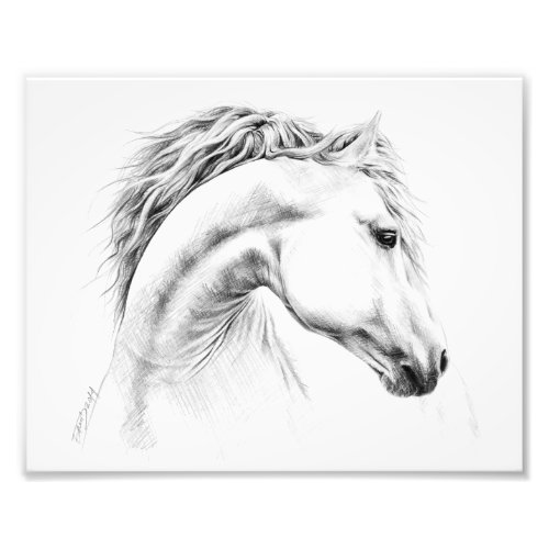 Horse portrait pencil drawing Equestrian art Photo Print
