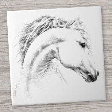Horse portrait pencil drawing Equestrian art