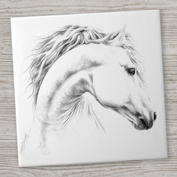 Horse Portrait Pencil Drawing Equestrian Art Tile by EDrawings38 at Zazzle