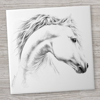 Horse portrait pencil drawing Equestrian art