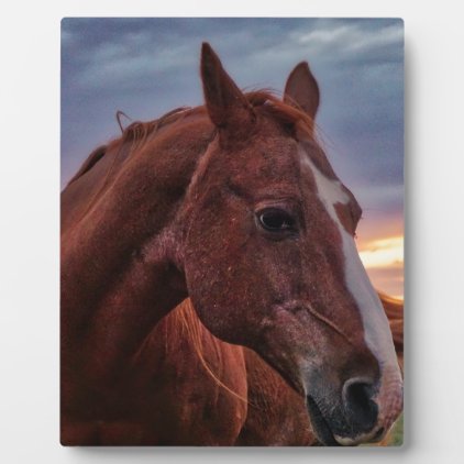 Horse Portrait Plaque