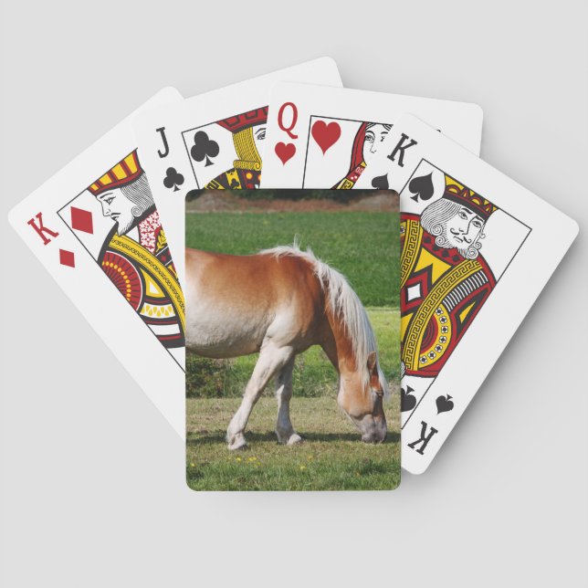 Horse portrait poker cards (Back)