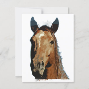 Horse Portrait Postcard