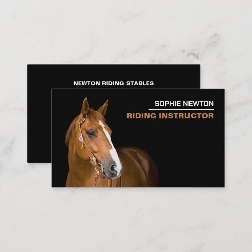 Horse Portrait Riding Instructor Academy Business Card