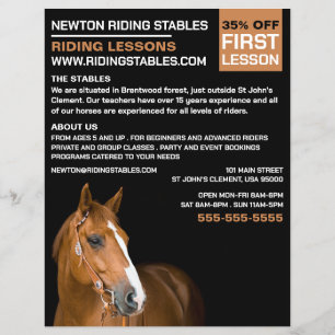 Horse Portrait, Riding Instructor, Academy Flyer