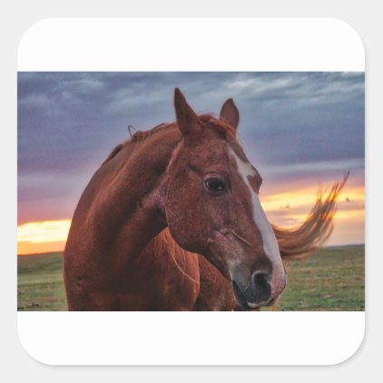 Horse Portrait Square Sticker