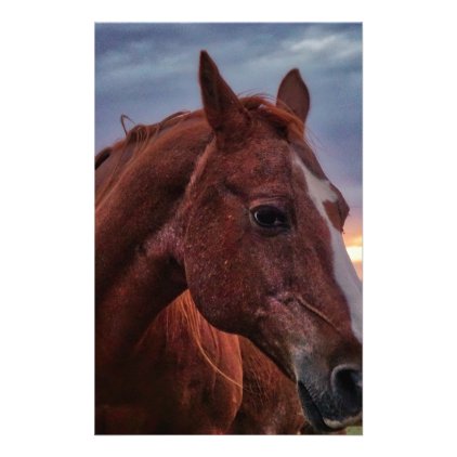 Horse Portrait Stationery