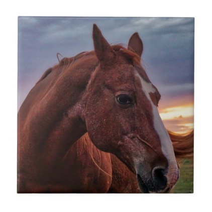 Horse Portrait Tile
