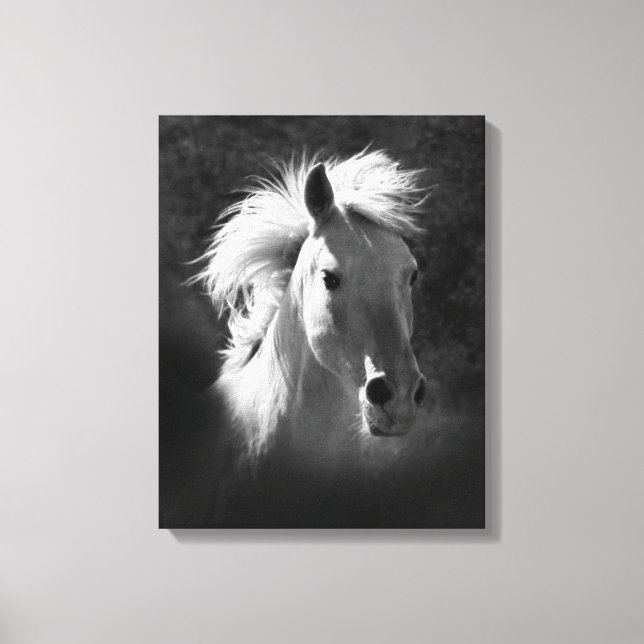 Horse Portrait V Canvas Print (Front)