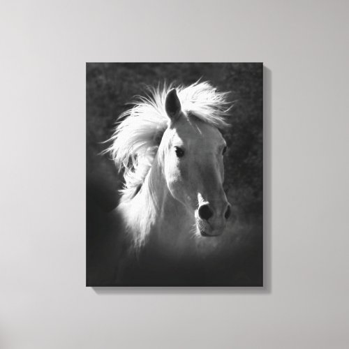 Horse Portrait V Canvas Print