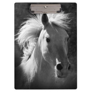 Horse Portrait V Clipboard