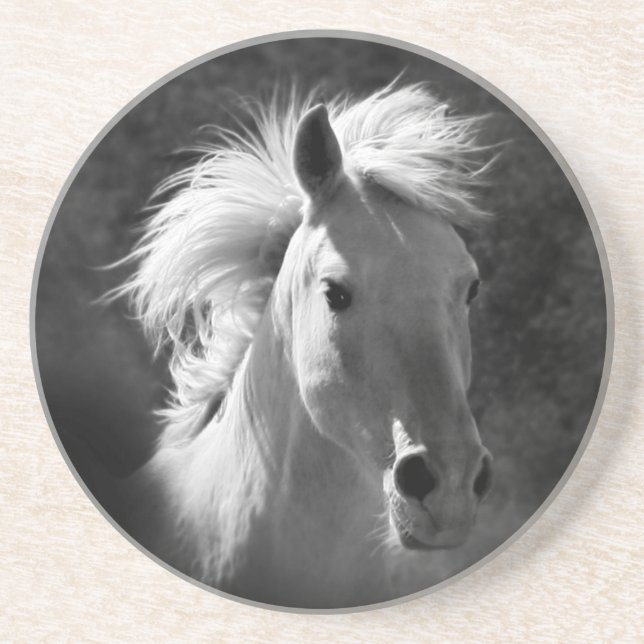 Horse Portrait V Coaster (Front)