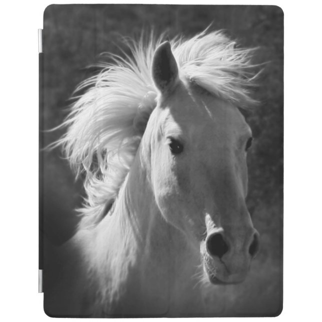 Horse Portrait V iPad Smart Cover (Front)