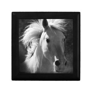 Horse Portrait V Keepsake Box