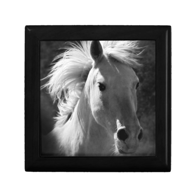 Horse Portrait V Keepsake Box (Front)