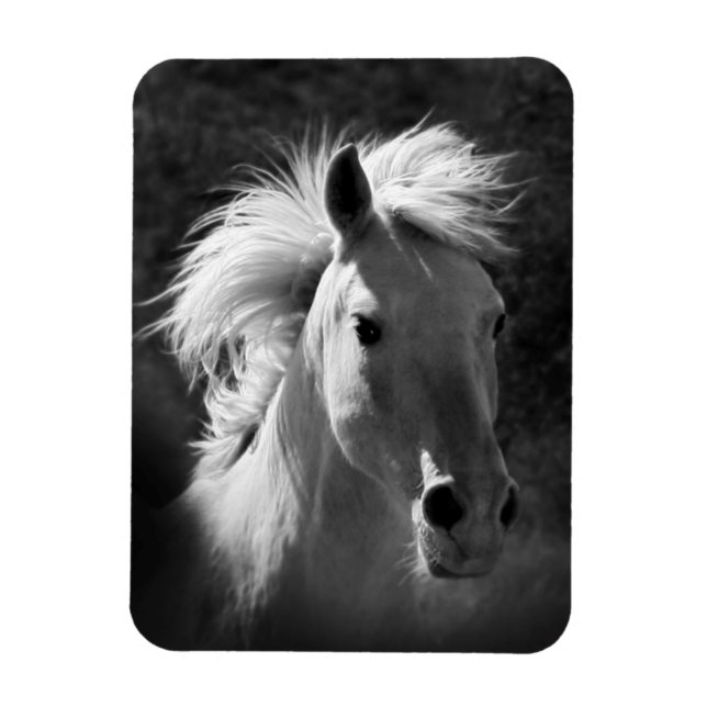Horse Portrait V Magnet (Vertical)