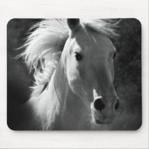 Horse Portrait V Mouse Pad