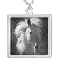 Horse Portrait V