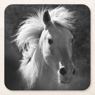 Horse Portrait V Square Paper Coaster