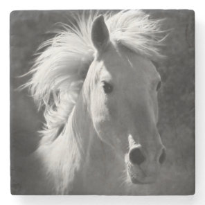 Horse Portrait V Stone Coaster