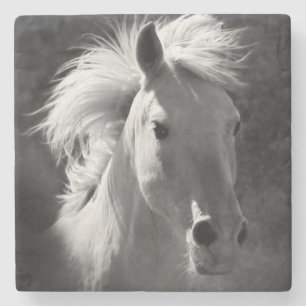 Horse Portrait V Stone Coaster