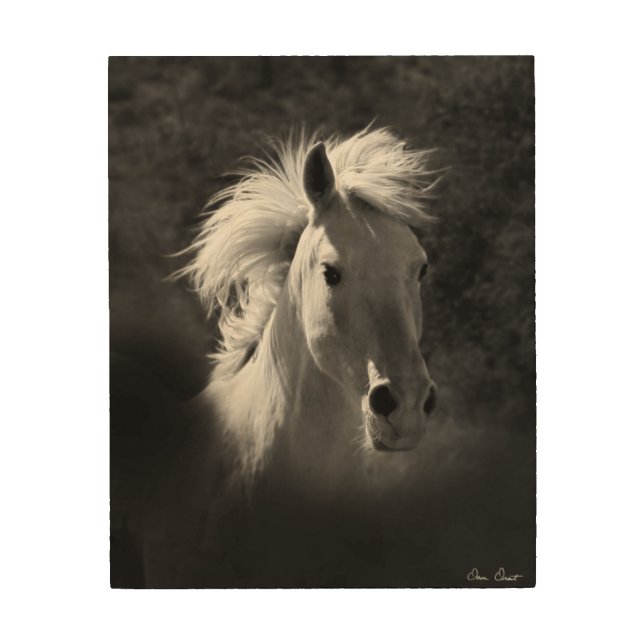Horse Portrait V Wood Wall Decor (Front)