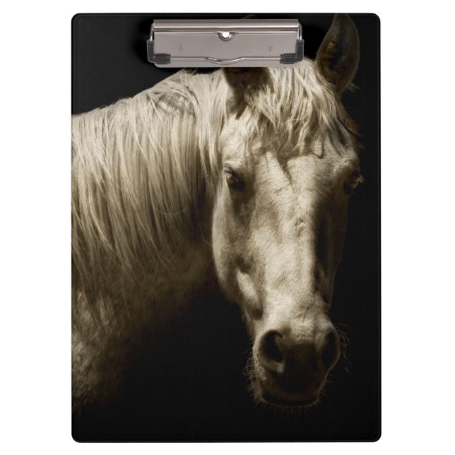 Horse Portrait VI Clipboard (Front)