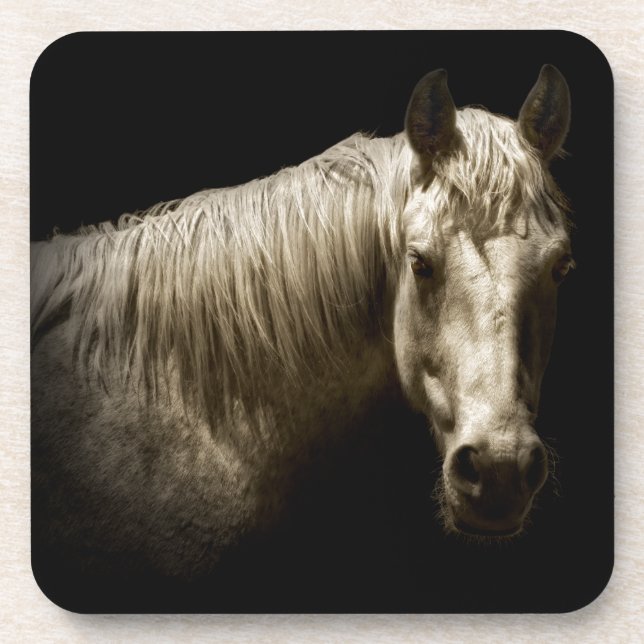 Horse Portrait VI Drink Coaster (Front)