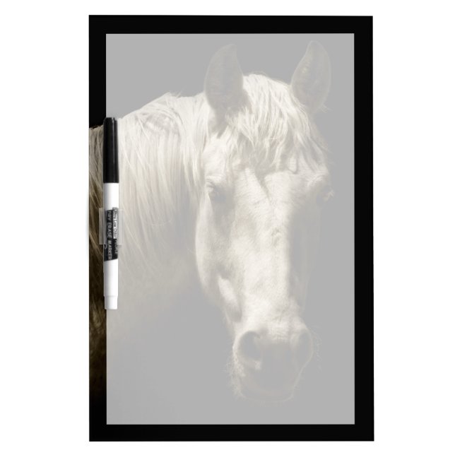 Horse Portrait VI Dry-Erase Board (Front)