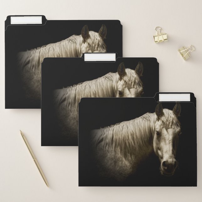 Horse Portrait VI File Folder (Set)