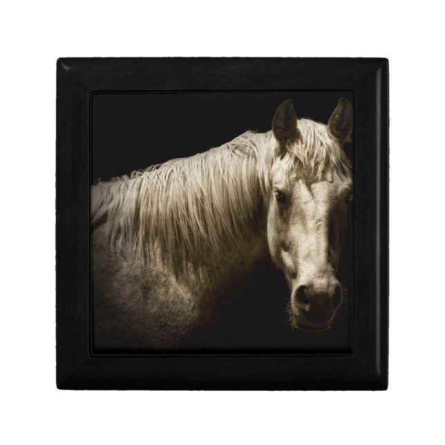 Horse Portrait VI Gift Box (Front)