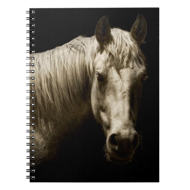 Horse Portrait VI Notebook (Front)