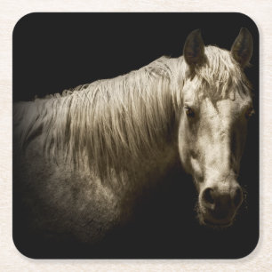 Horse Portrait VI Square Paper Coaster