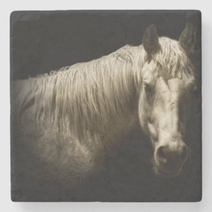 Horse Portrait VI Stone Coaster