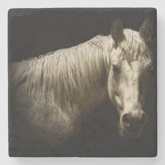 Horse Portrait VI Stone Coaster (Front)