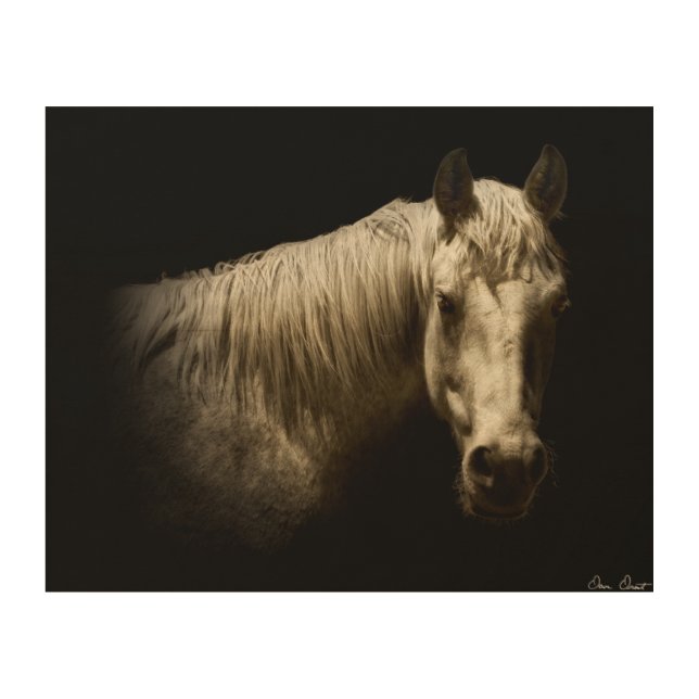 Horse Portrait VI Wood Wall Art (Front)