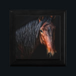 Horse Portrait VII Gift Box<br><div class="desc">Animals</div>