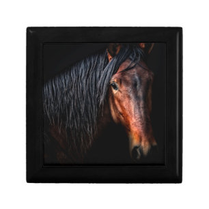Horse Portrait VII Gift Box