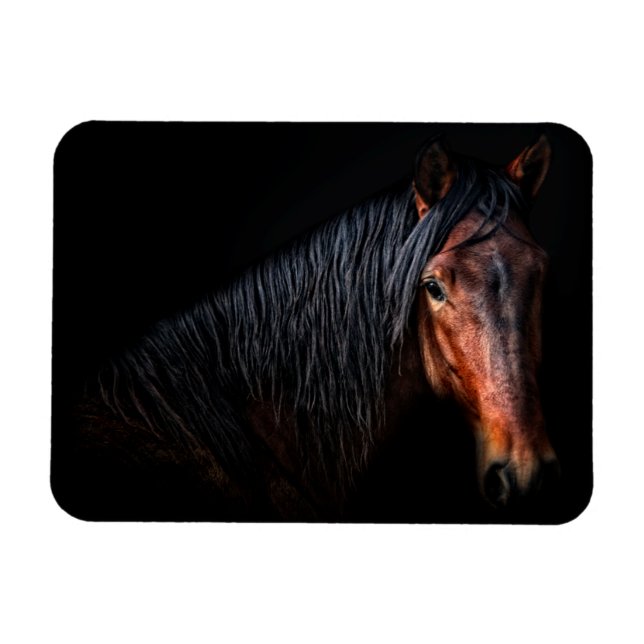 Horse Portrait VII Magnet (Horizontal)
