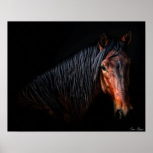 Horse Portrait VII Poster
