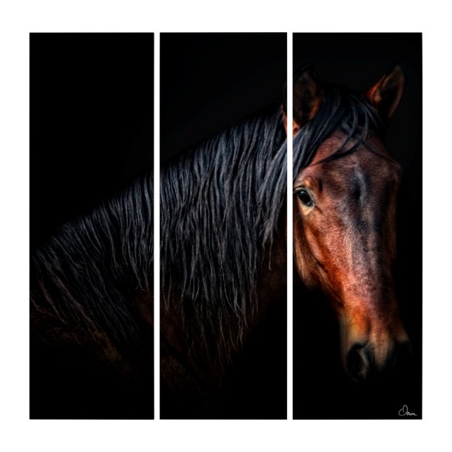 Horse Portrait VII Triptych (Front)