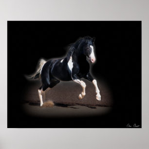 Horse Portrait VIII Poster