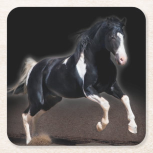 Horse Portrait VIII Square Paper Coaster