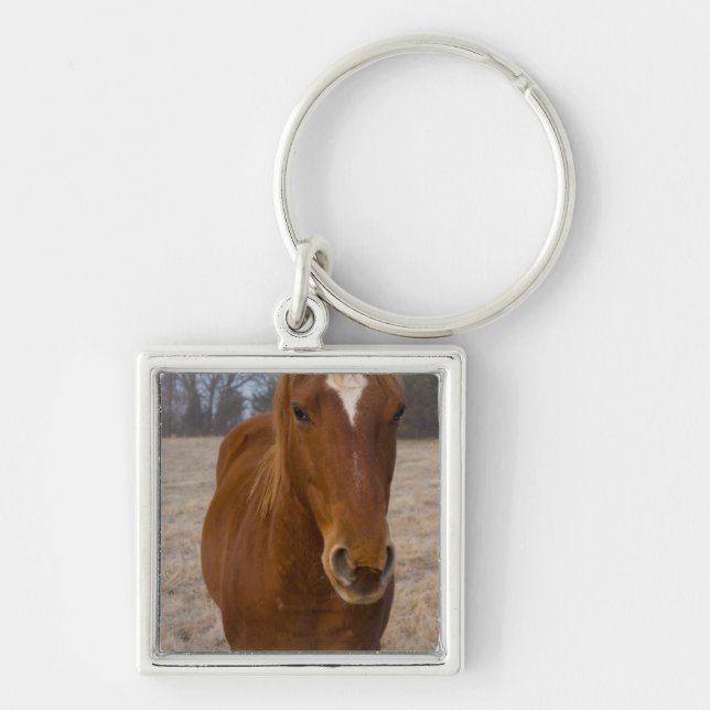 Horse pose keychain (Front)